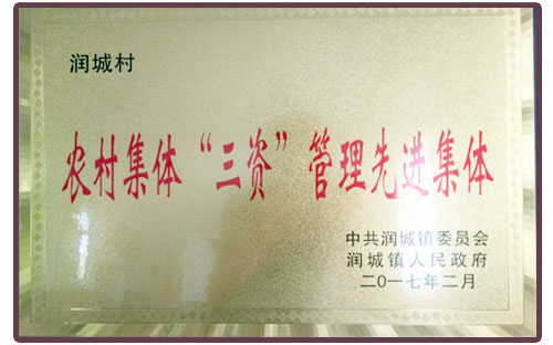农村集体“三资”管理先进集体