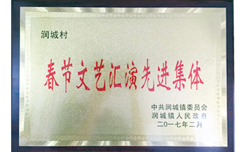 春节文艺汇演先进集体