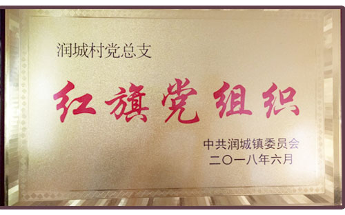 红旗党组织